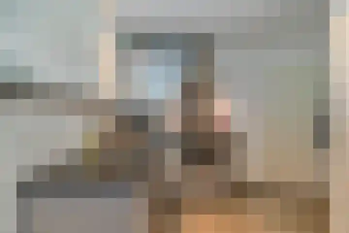 Poolster 155 Hoorn thumbnail 14