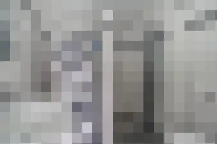 Poolster 155 Hoorn thumbnail 20