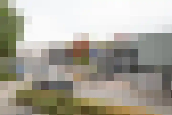 Poolster 155 Hoorn thumbnail 26