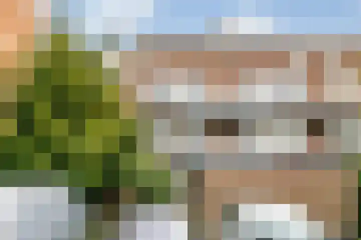 Poolster 155 Hoorn thumbnail 4