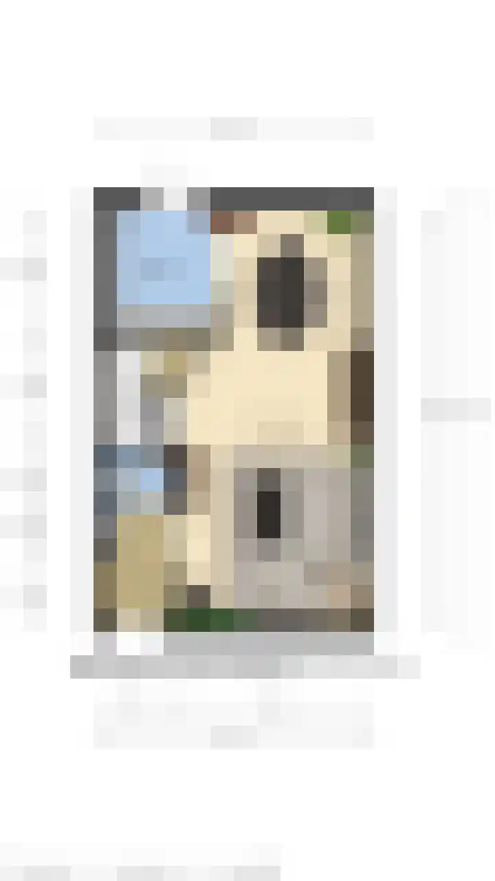 Poolster 155 Oostburg thumbnail 12