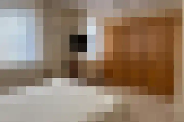 Poolster 155 Oostburg thumbnail 15