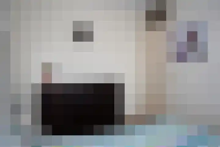 Poolster 155 Oostburg thumbnail 19