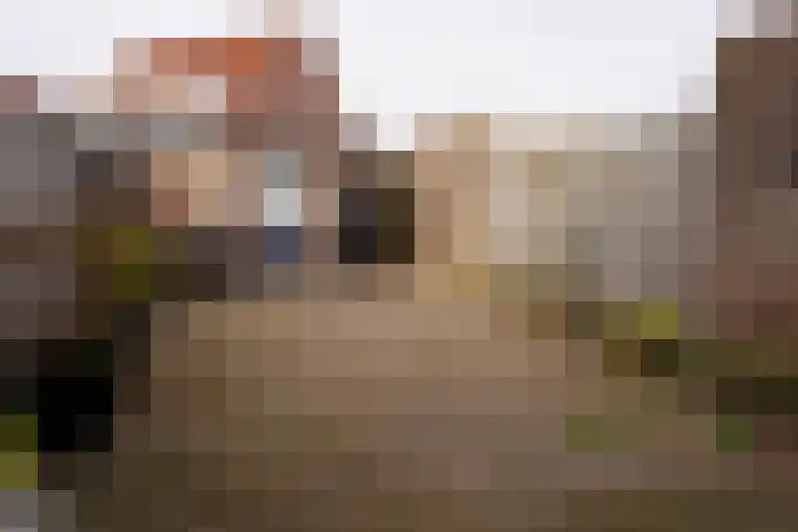 Poolster 155 Oostburg thumbnail 31