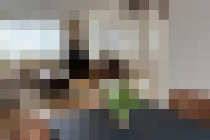 Poolster 155 Oostburg thumbnail 4