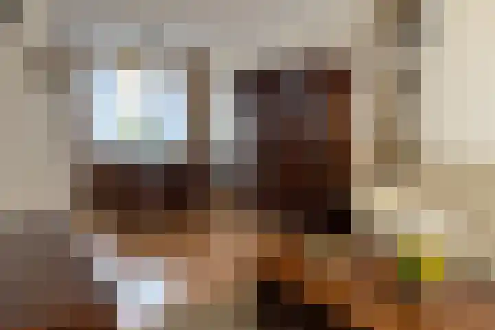 Poolster 155 Oostburg thumbnail 5