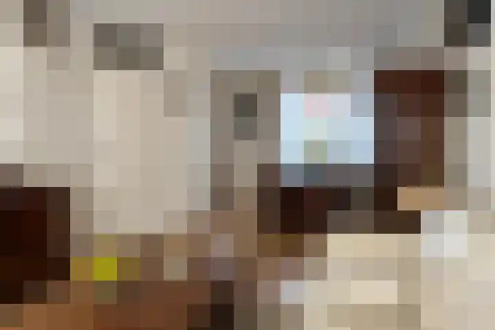 Poolster 155 Oostburg thumbnail 6