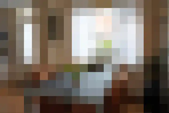 Poolster 155 Oostburg thumbnail 7