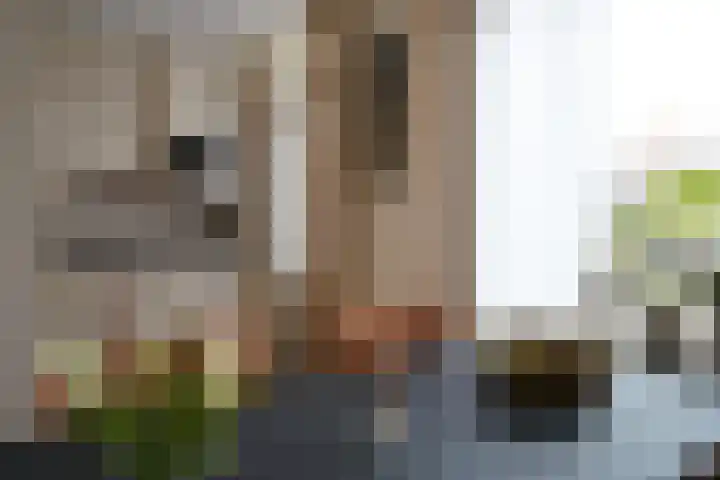 Poolster 155 Oostburg thumbnail 8