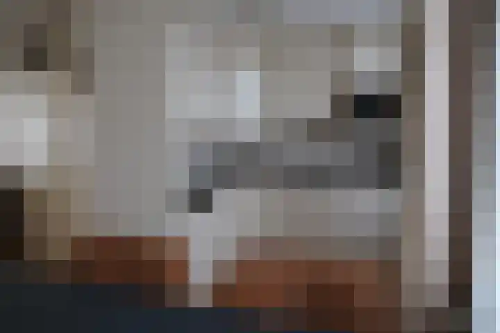 Poolster 155 Oostburg thumbnail 9
