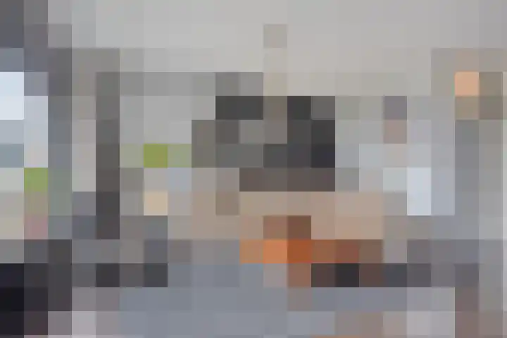 Poolster 159 Hoorn thumbnail 11