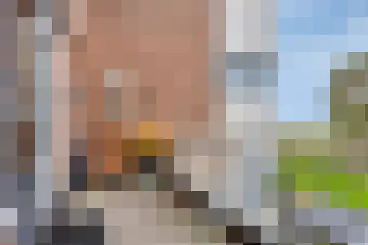 Poolster 159 Hoorn thumbnail 18