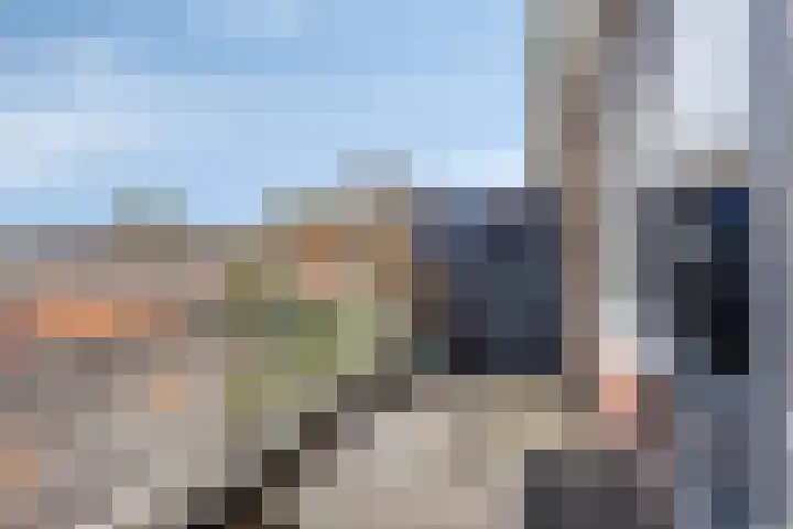 Poolster 159 Hoorn thumbnail 19
