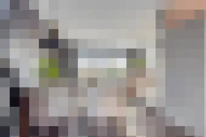 Poolster 159 Hoorn thumbnail 8