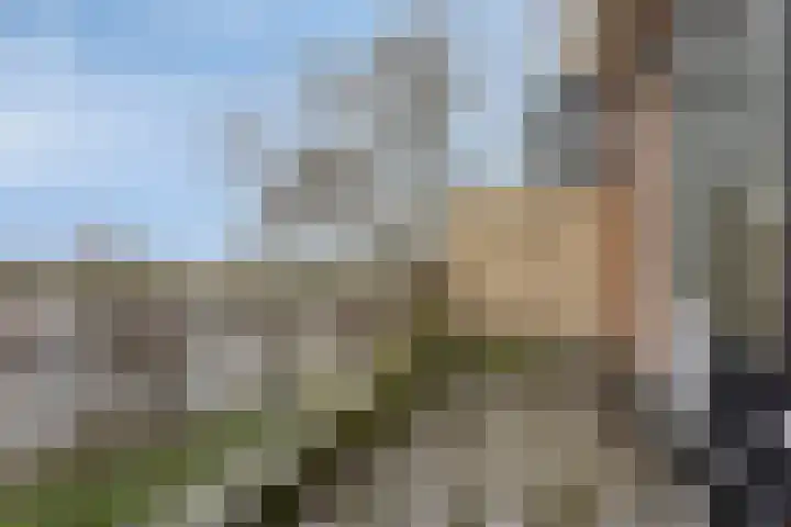 Poolster 162 Hoorn thumbnail 11