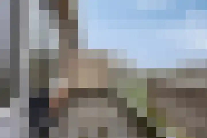 Poolster 162 Hoorn thumbnail 12