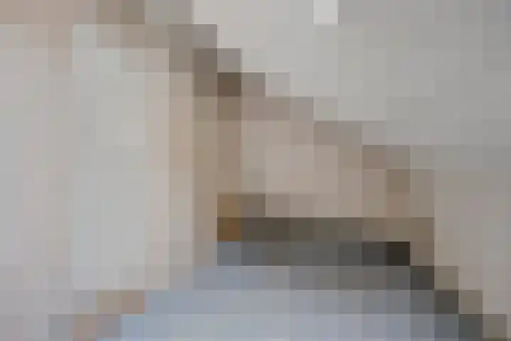 Poolster 162 Hoorn thumbnail 20