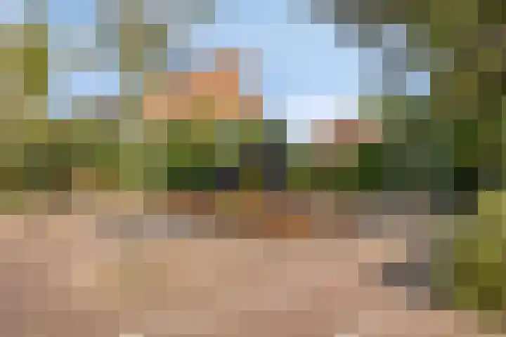 Poolster 162 Hoorn thumbnail 27