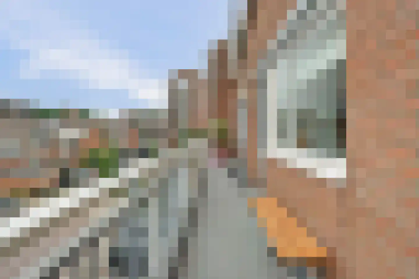 Poolster 164 Hoorn thumbnail 27