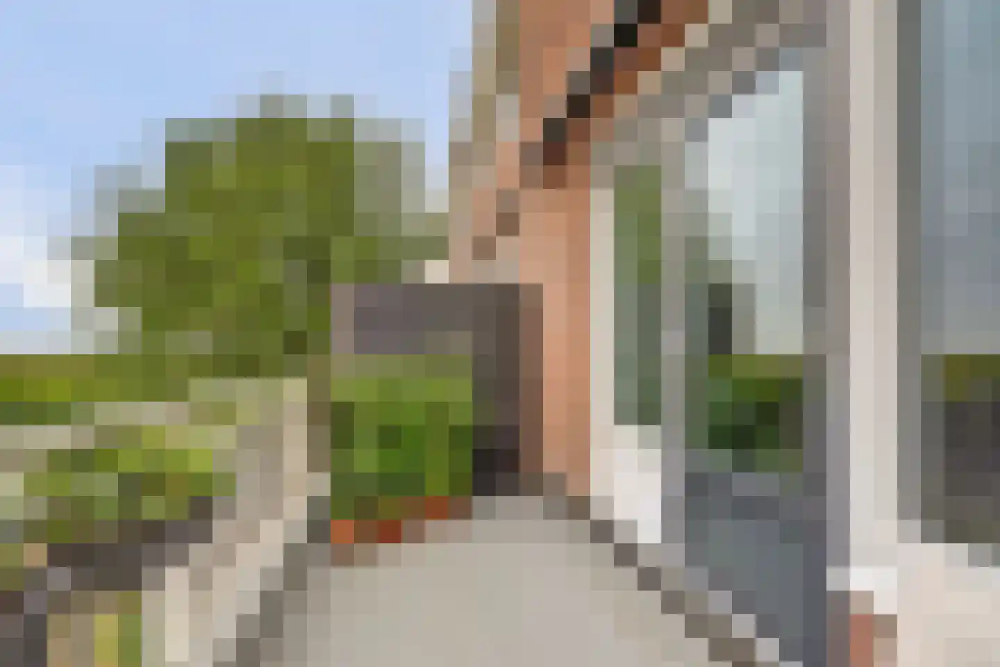 Poolster 164 Hoorn thumbnail 5