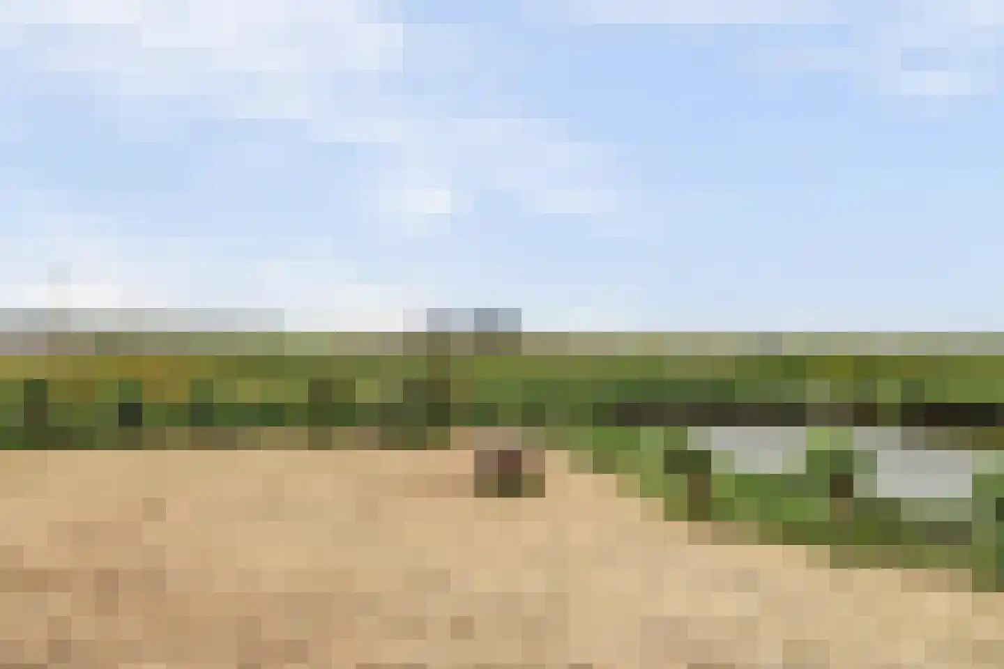 Poolster 164 Hoorn thumbnail 6