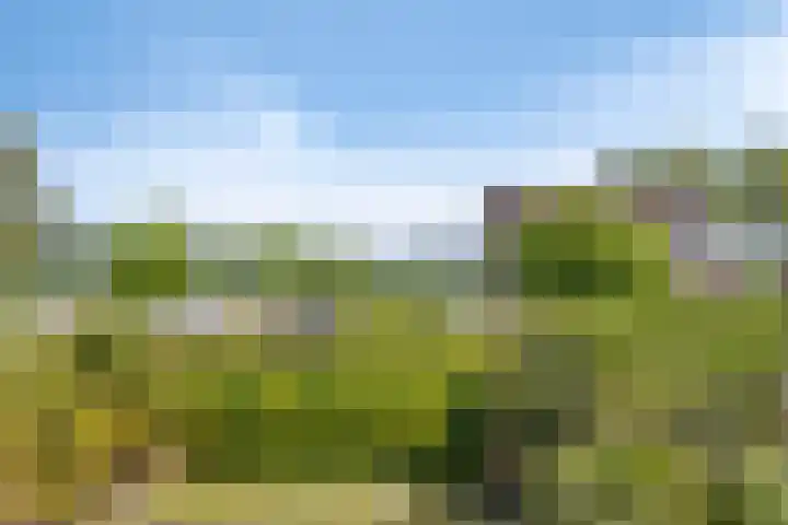 Poolster 176 Oostburg thumbnail 17