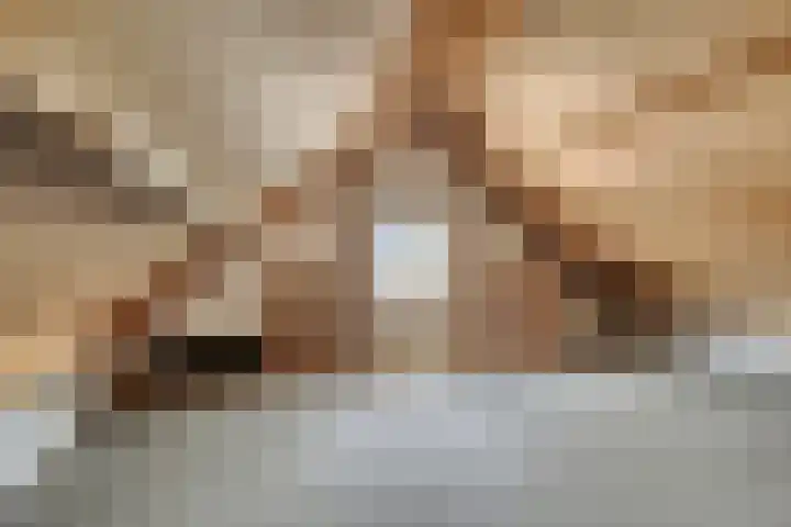 Poolster 176 Oostburg thumbnail 24