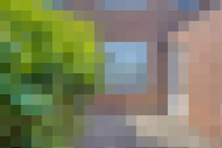Poolster 176 Oostburg thumbnail 27