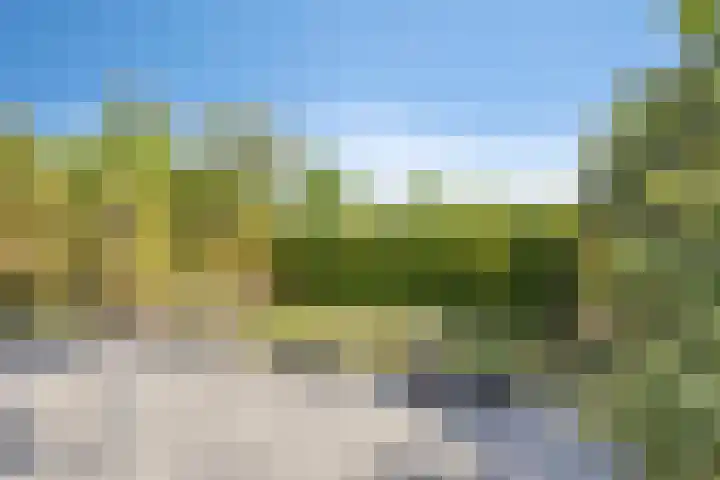 Poolster 176 Oostburg thumbnail 29