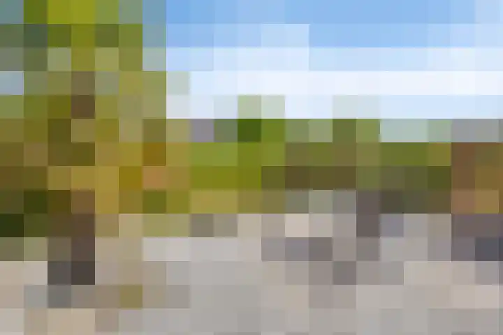 Poolster 176 Oostburg thumbnail 30