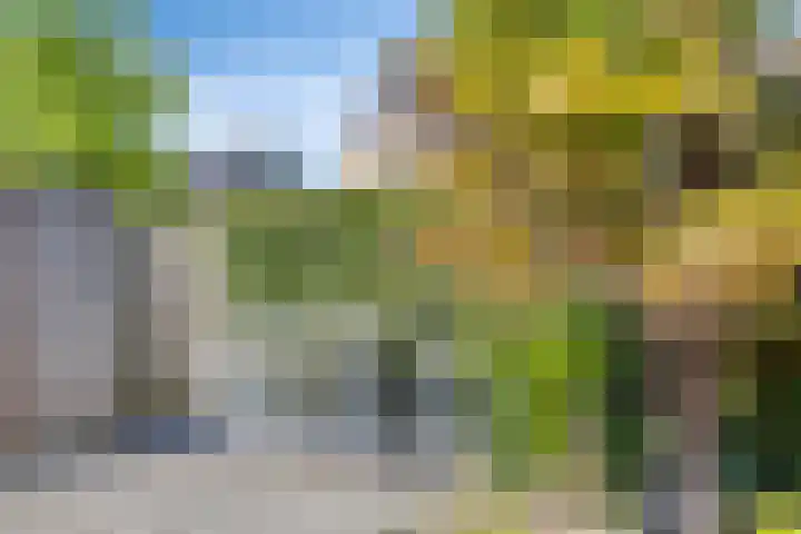 Poolster 176 Oostburg thumbnail 31