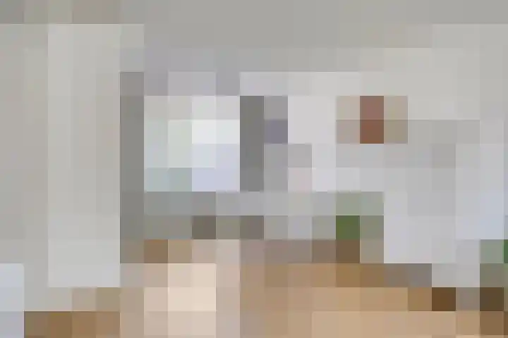 Poolster 176 Oostburg thumbnail 8