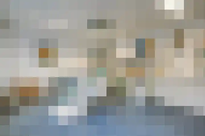 Poolster 203 Hoorn thumbnail 11