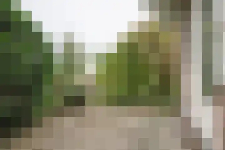 Poolster 203 Hoorn thumbnail 13