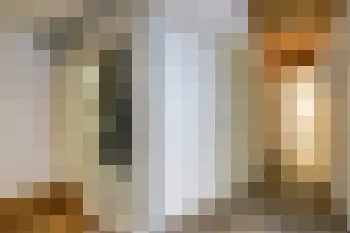 Poolster 203 Hoorn thumbnail 17