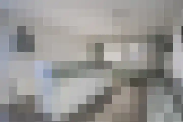 Poolster 203 Hoorn thumbnail 4