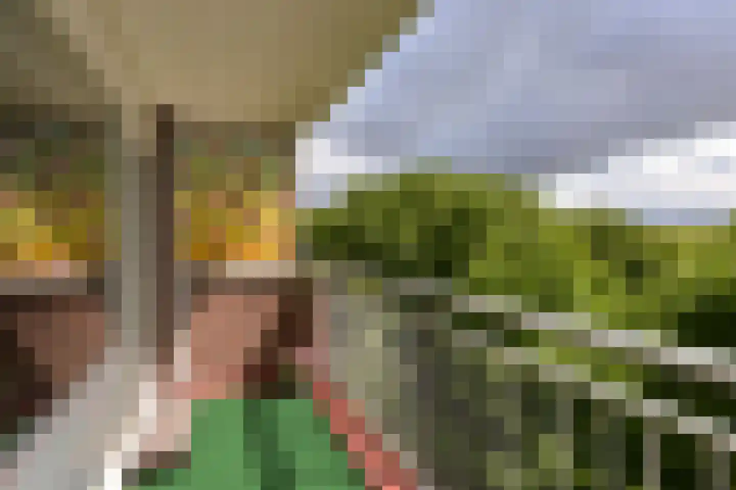 Poolster 205 Hoorn thumbnail 16