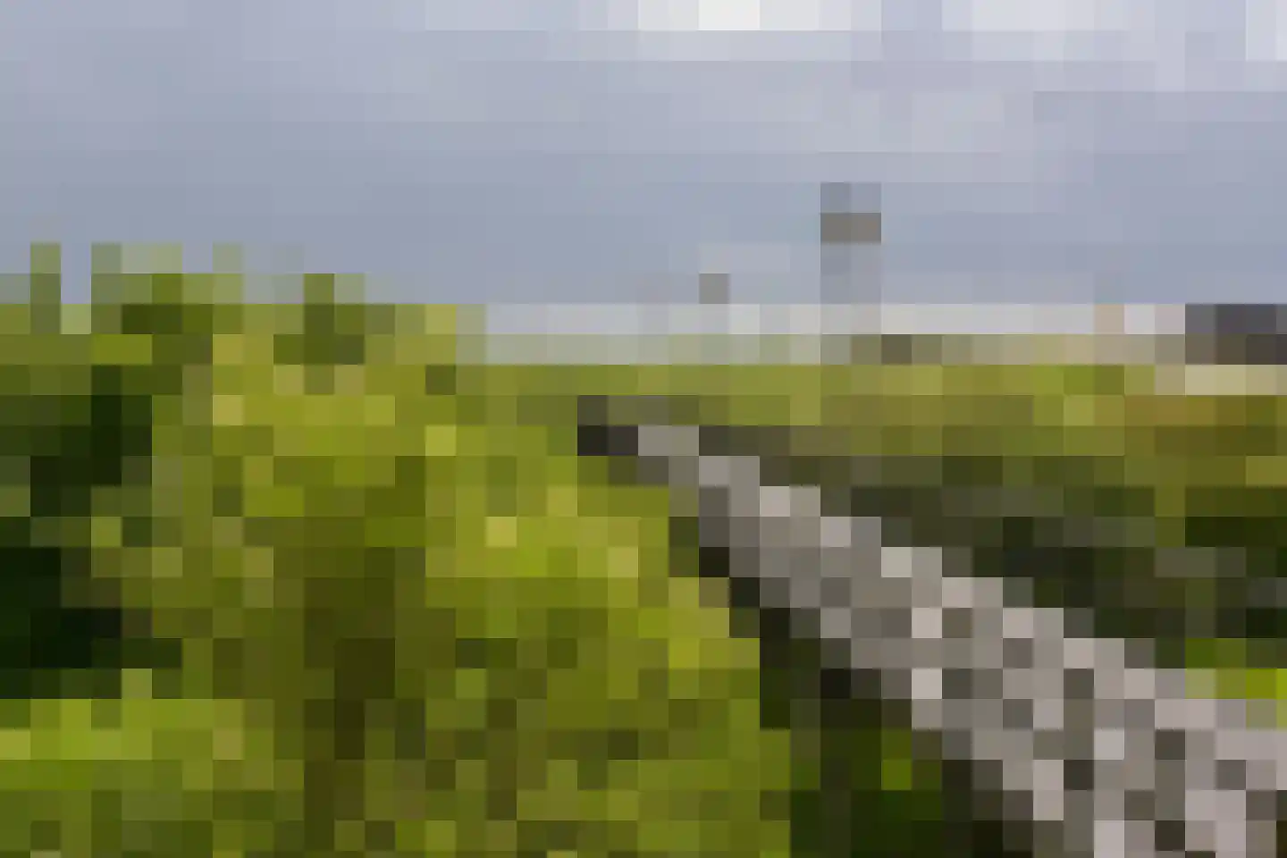 Poolster 205 Hoorn thumbnail 21
