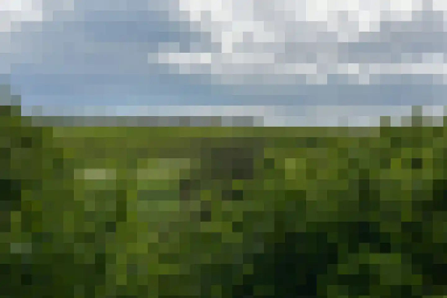 Poolster 205 Hoorn thumbnail 22