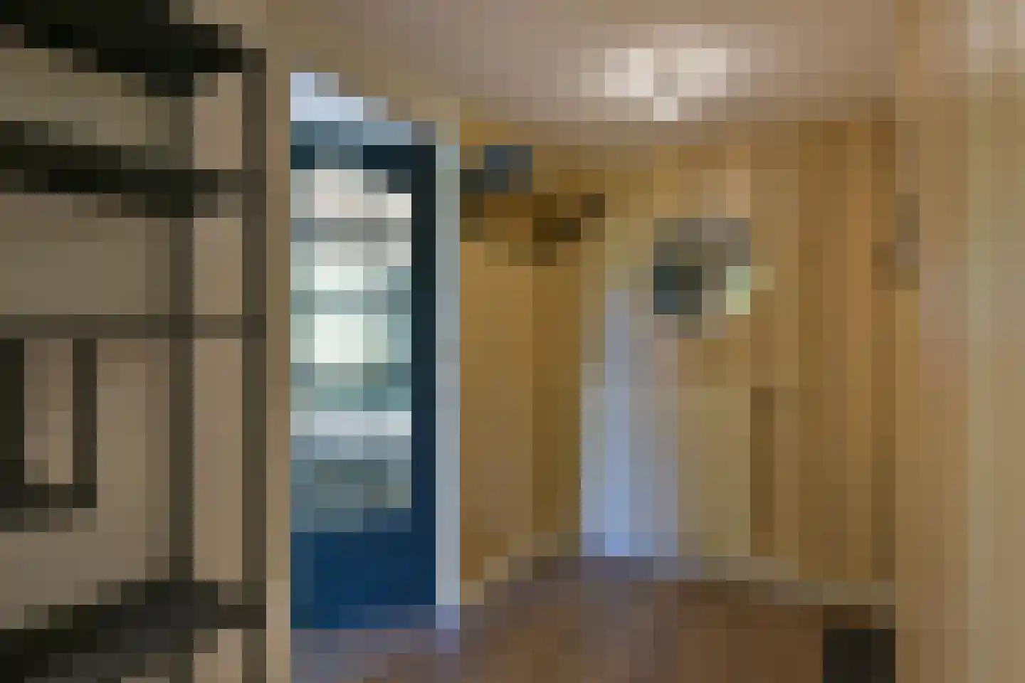 Poolster 205 Hoorn thumbnail 23