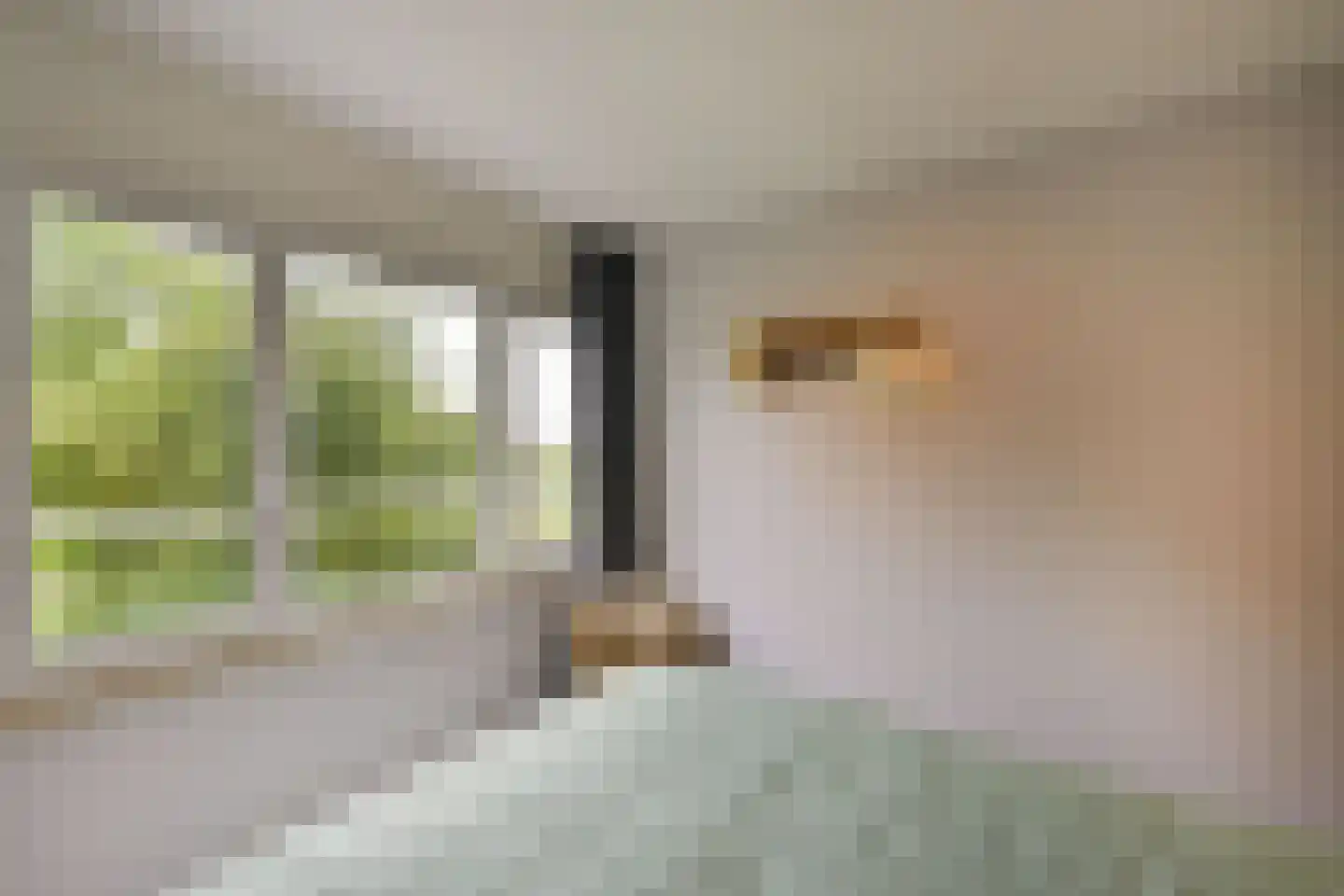 Poolster 205 Hoorn thumbnail 27