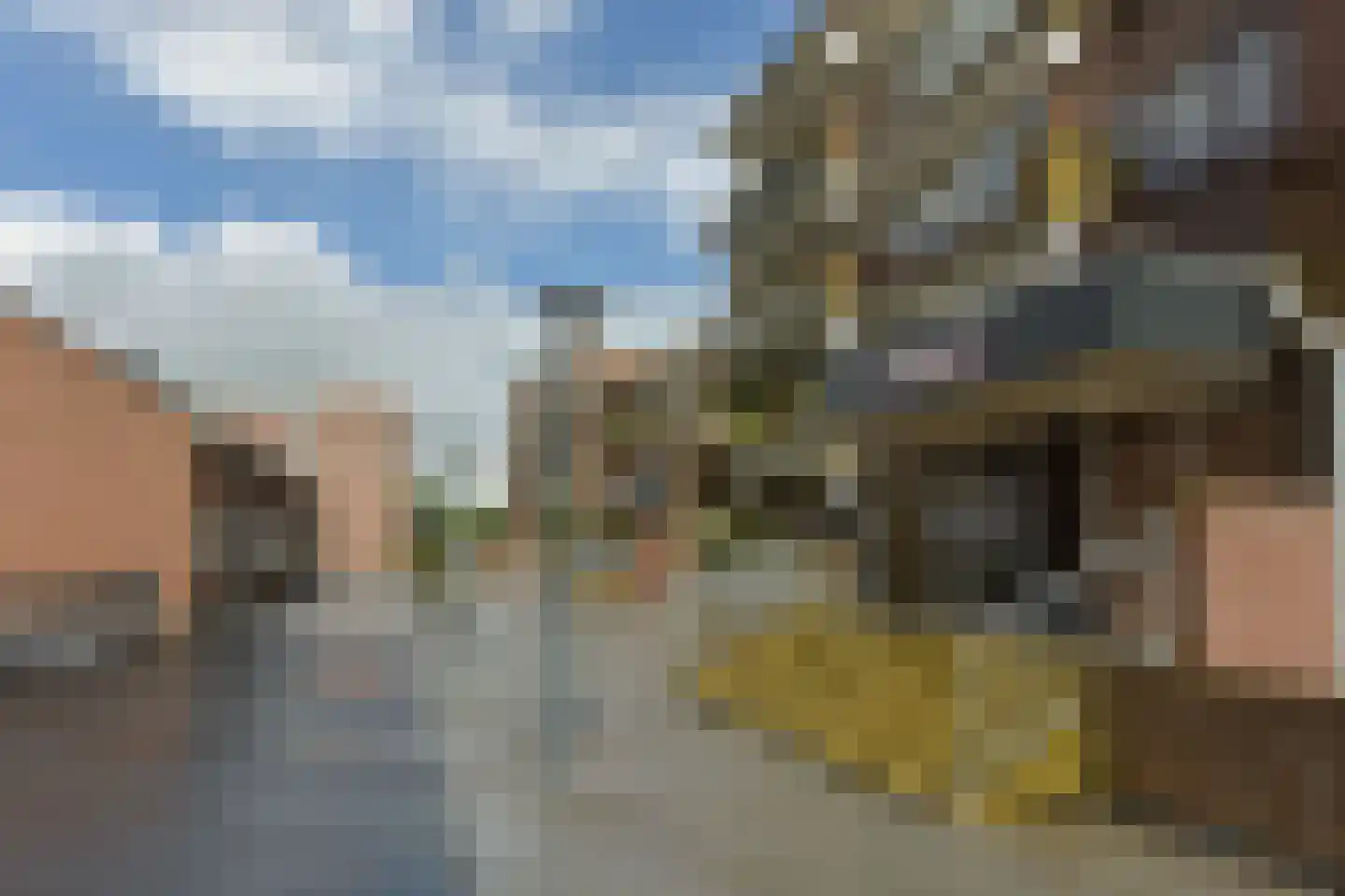 Poolster 205 Hoorn thumbnail 31