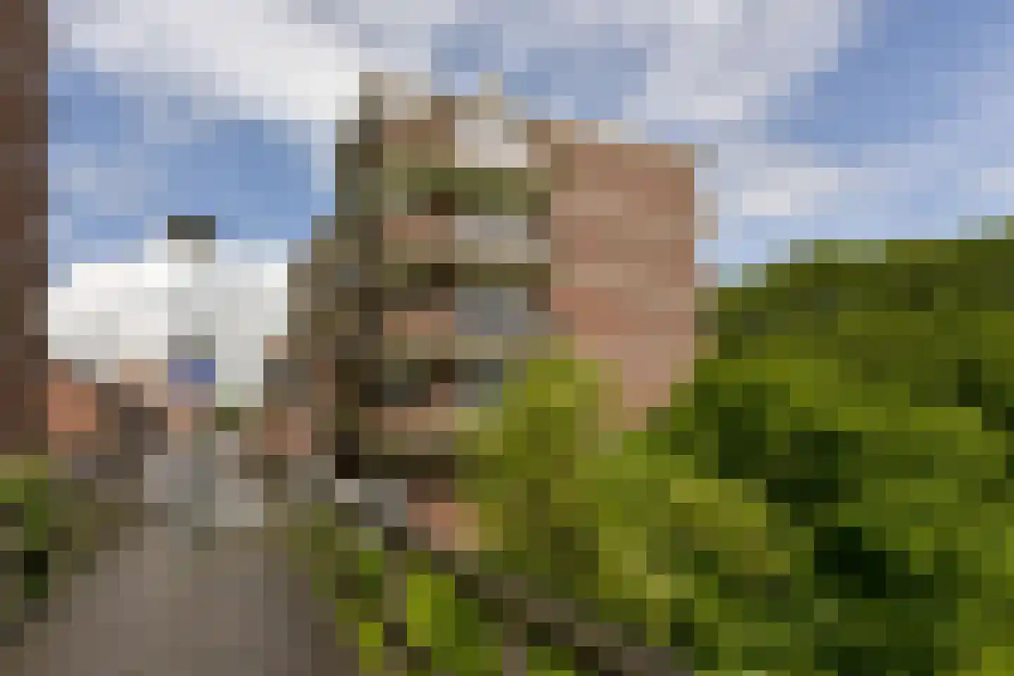 Poolster 205 Hoorn thumbnail 33