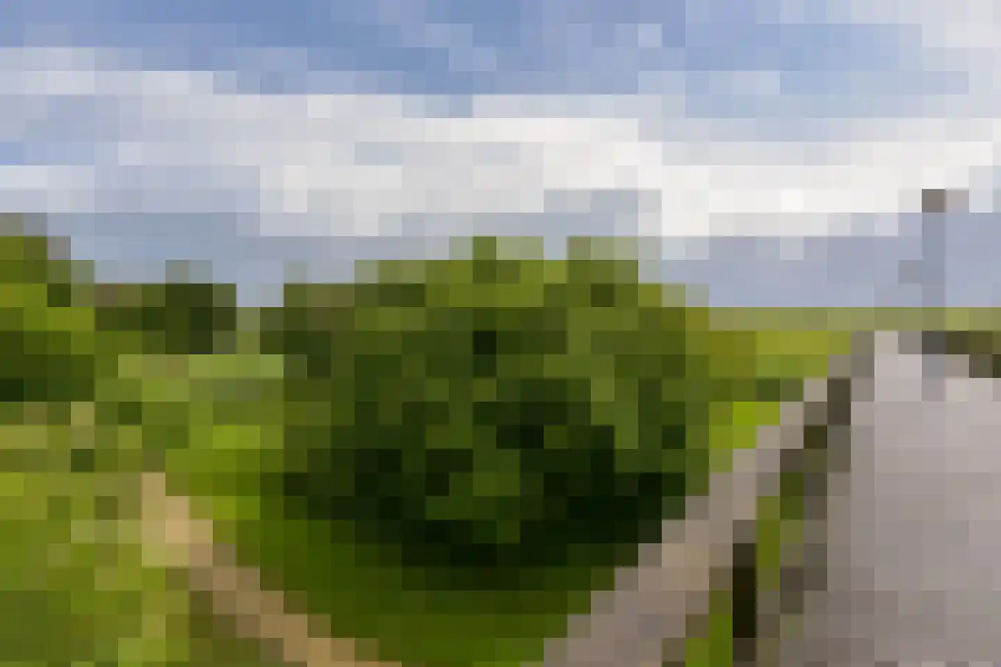 Poolster 205 Hoorn thumbnail 35