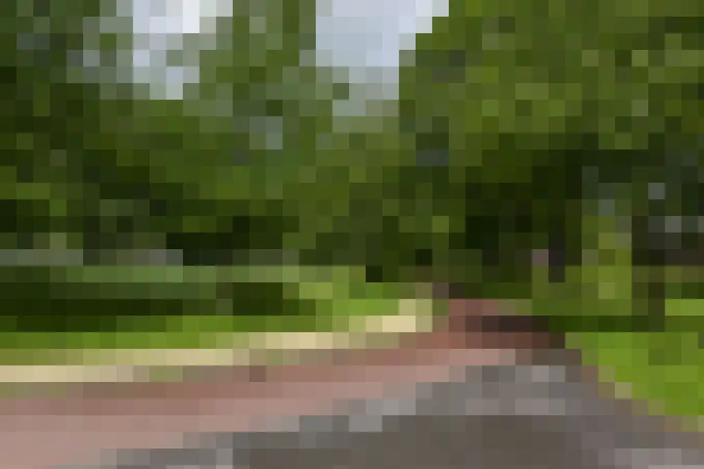 Poolster 205 Hoorn thumbnail 37