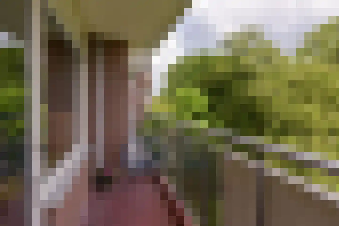 Poolster 205 Hoorn thumbnail 7