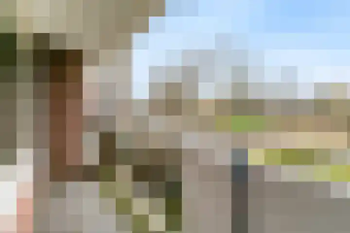 Poolster 221 Hoorn thumbnail 11