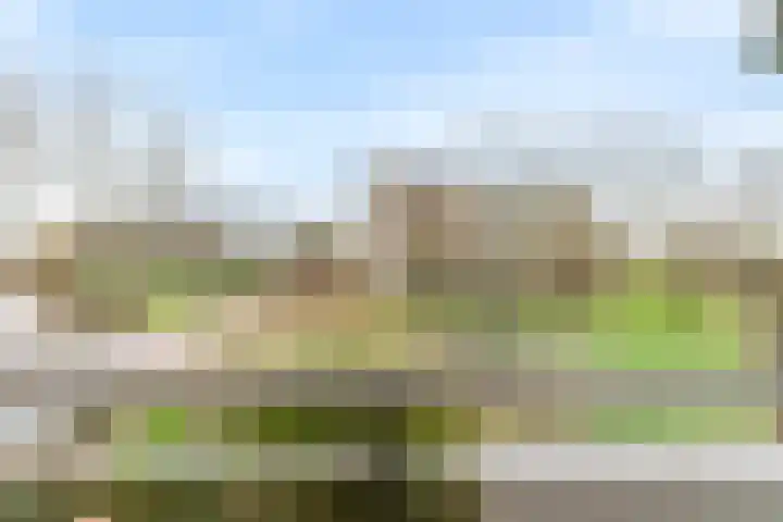 Poolster 221 Hoorn thumbnail 12