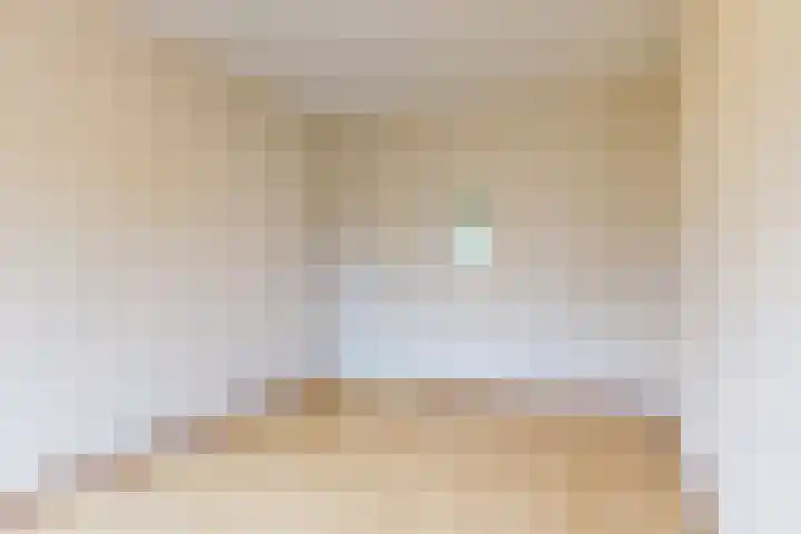 Poolster 221 Hoorn thumbnail 18