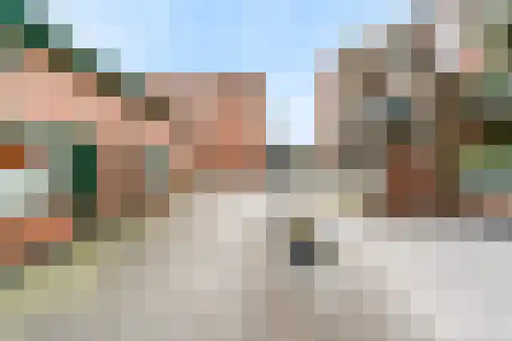 Poolster 221 Hoorn thumbnail 25